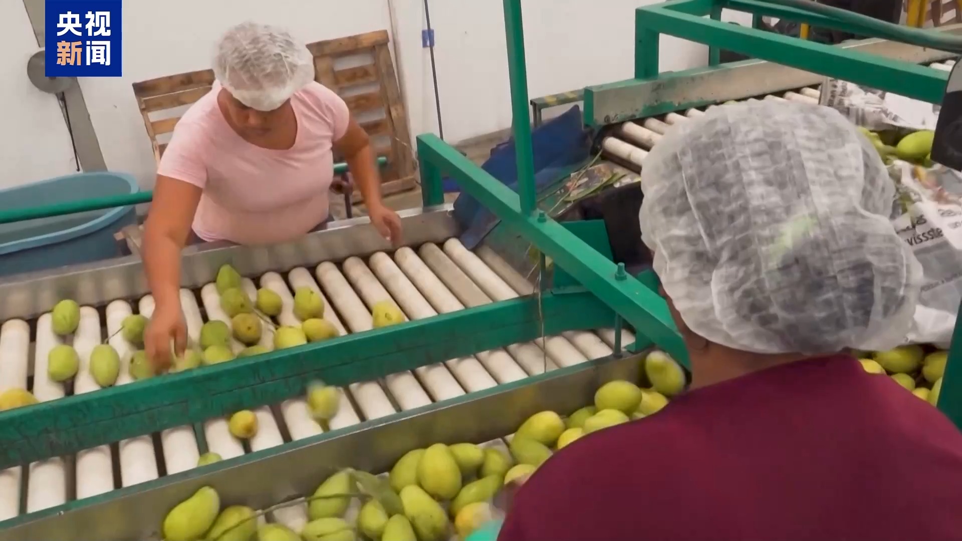 d9612b39-ec64-40fb-9c61-30ca91508401.jpe