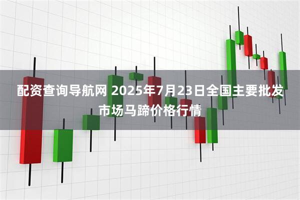 配资查询导航网 2025年7月23日全国主要批发市场马蹄价格行情